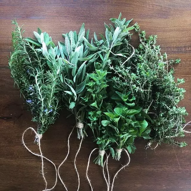 herbs